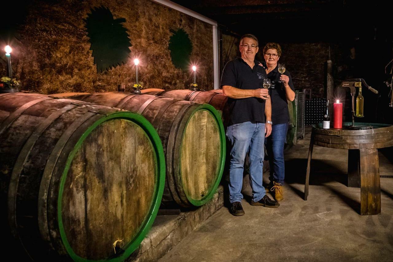 Ferienweingut Goebel Villa ทราเบิน-ทราร์บาค ภายนอก รูปภาพ